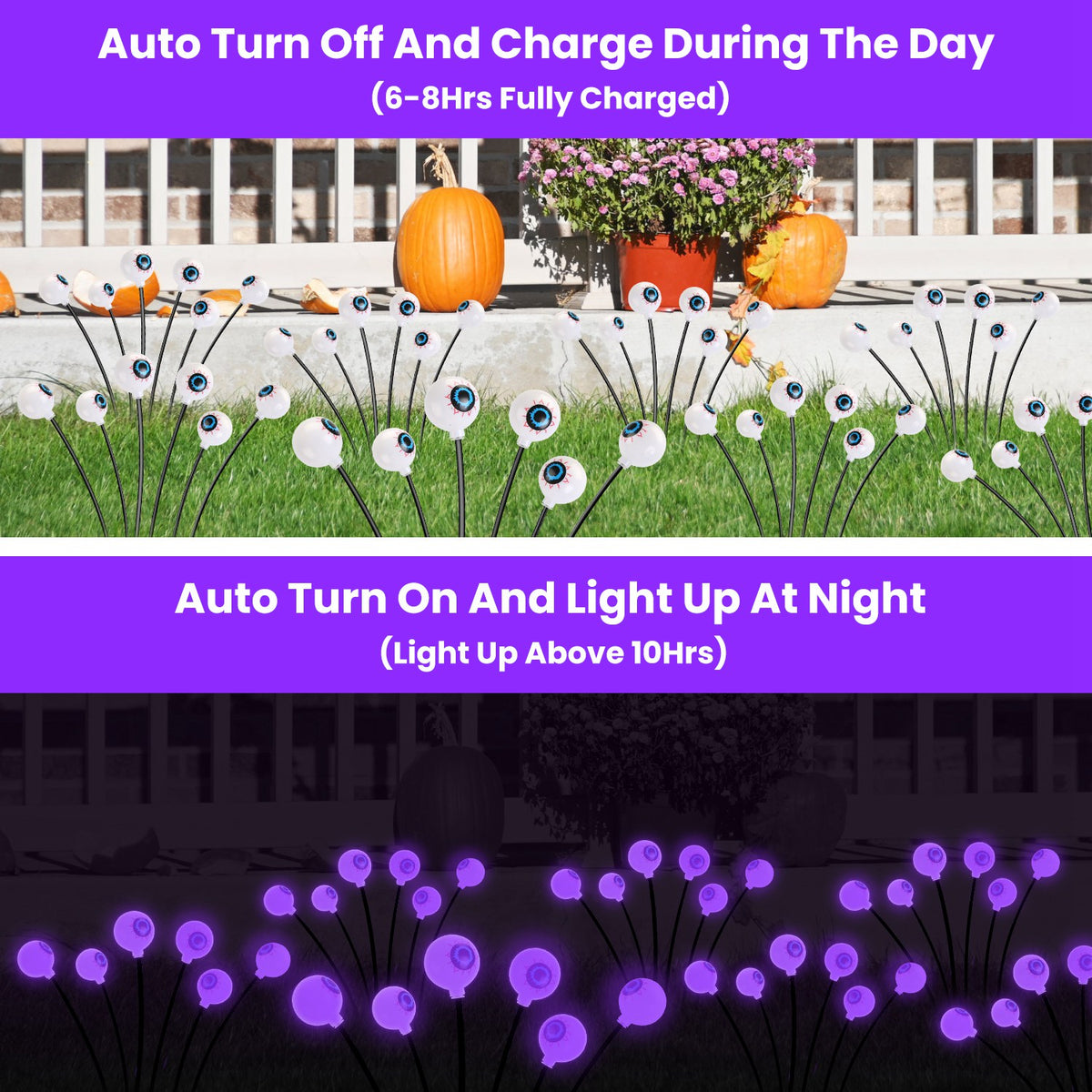 IP65 waterproof solar eyeball lights lining a front path
